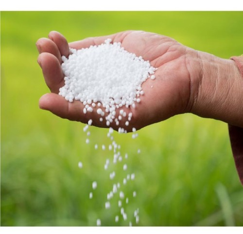 UREA (PRILLED &GRANULAR)